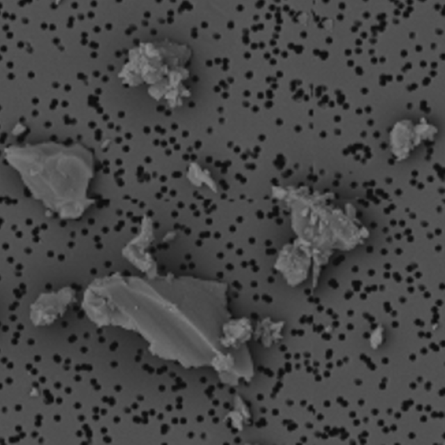 FE-SEM images of respirable dust particles showing particle morphology and agglomeration at 10,000× magnification.