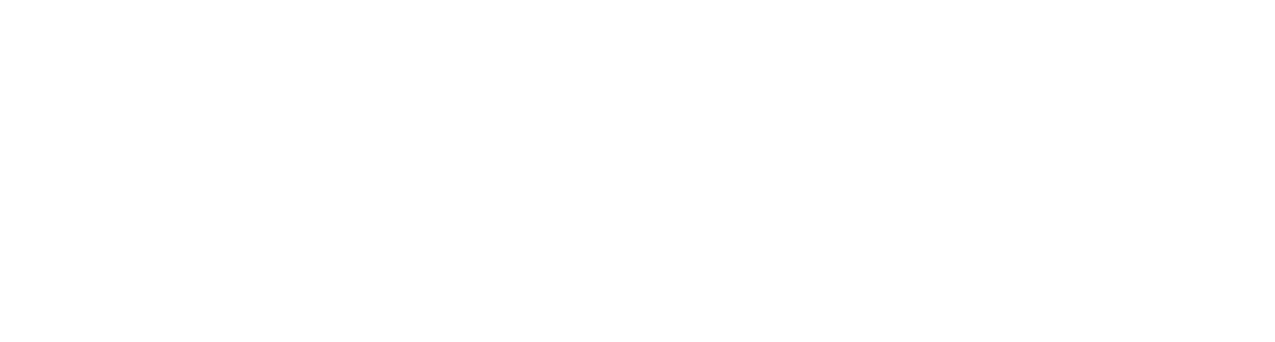 Social Performance Issue Guides