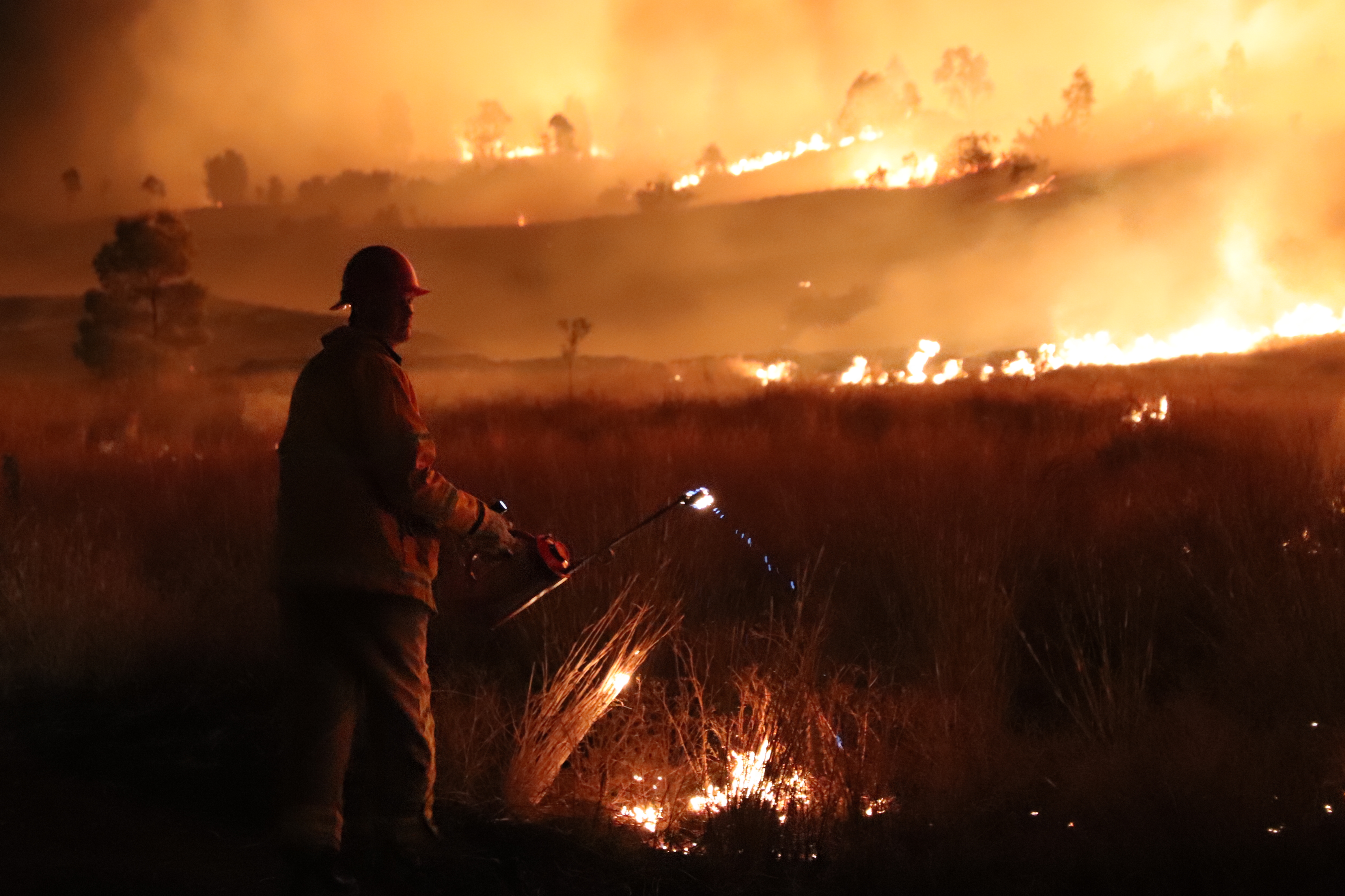 Fireman performing a controlled burn in grassland