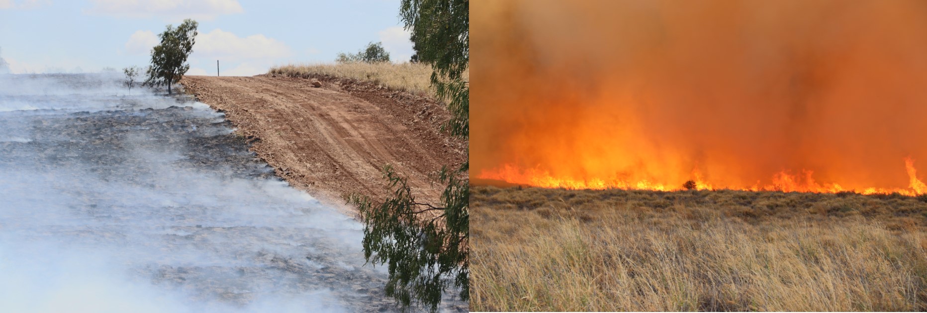 before and after images of bushland on fire 