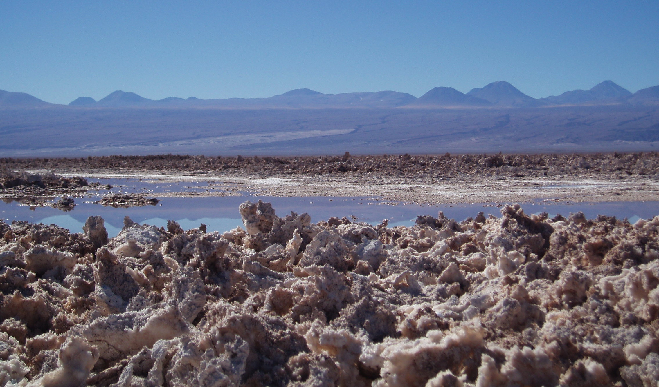 Salar-d'Atacama-hé-adelphi-(Salt Flats)