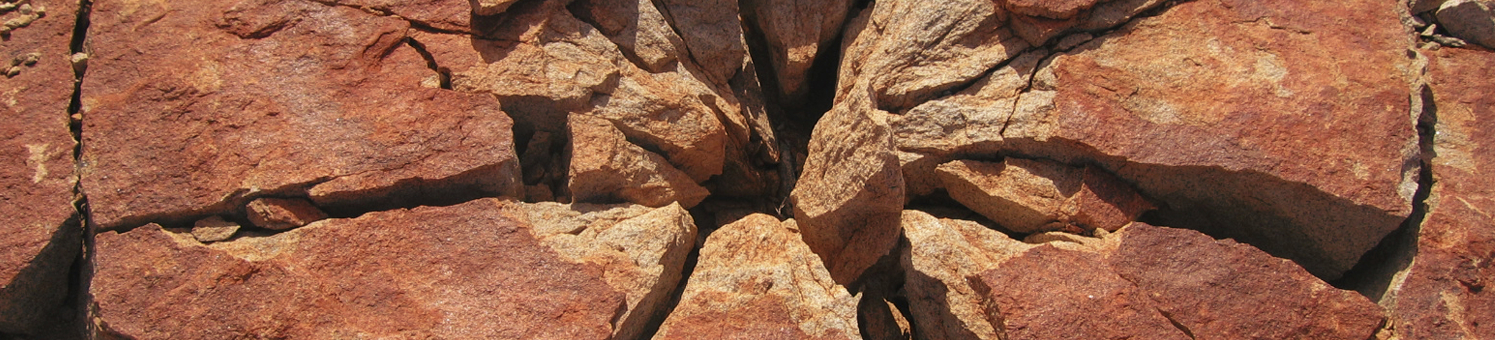 Risk and Critical Control Management