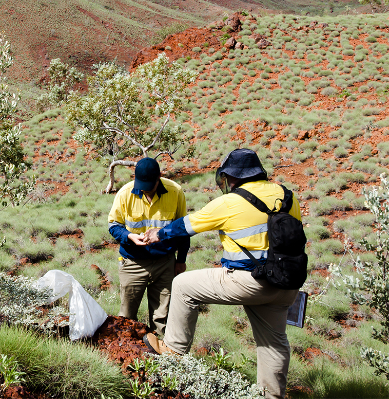 Mine Site Environmental Management