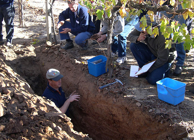 Irrigation workshop, people listening to lecturer standing in a dug up hole in a vineyard