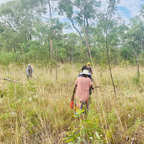 People walking through the Australian bush
