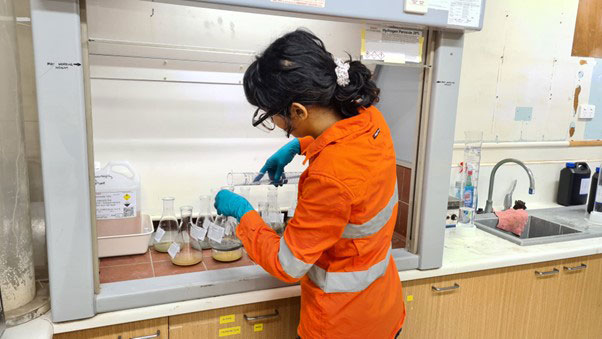 SMI MIWATCH undergraduate student Dipanshu Sharma busy in the lab