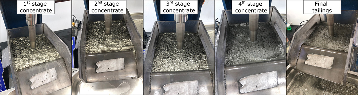 Different stages of concentrate flotation test A