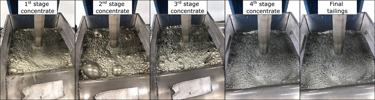 Different stages of concentrate flotation test B 