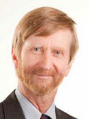 Professor David Cliff Professor David Cliff