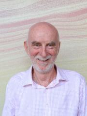 Professor David Parry Professor David Parry
