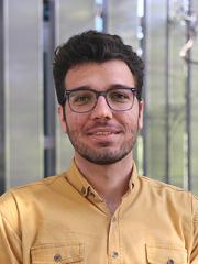 Ali Yadollahi