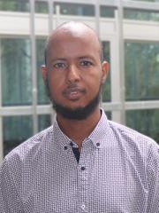 Ismail Mire