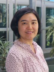 Qin Zhao
