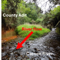 AMD from the County Adit meeting the Carnon River