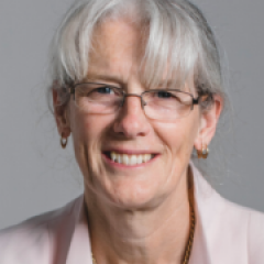 Professor Maureen Hassall, Director of SMI's Minerals Industry Safety and Health Centre (MISHC)