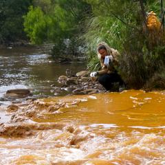 Sibele Nascimento collecting and bagging sediment samples at Haulage Creek
