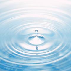 SMI contribute to The Nature Conservancy’s Global Water Program SNAPP project