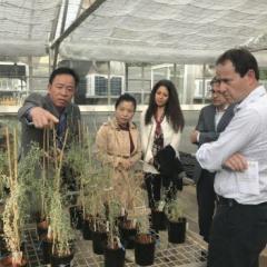 Leading red mud rehabilitation research caught Rio Tinto’s eye