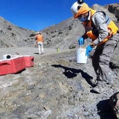A snapshot of 2021 from the team at SMI-ICE-Chile