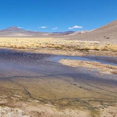 Shallow lagoon in desert