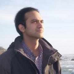 Professor Saleem H Ali