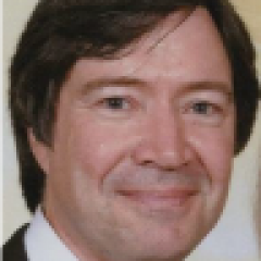 Honorary Professor Chris Aldrich