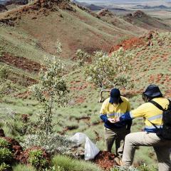 Mine Site Environmental Management