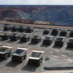 Mining and biodiversity: key issues and research needs in conservation science