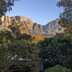 The view of Table Mountain