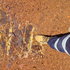 Boot stepping on rock and soil at site