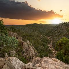 Australian regional landscape with sun setting