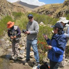 Environmental Geochemistry of Abandoned Mines in the Puno Region of Peru