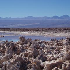 Salar d'Atacama hé-adelphi (Salt Flats)